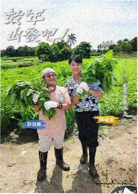 长夜食堂 海报